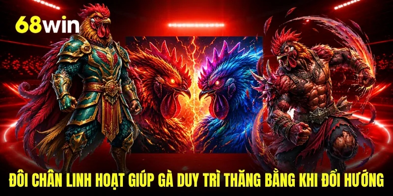 Đôi chân linh hoạt giúp gà duy trì thăng bằng khi đổi hướng